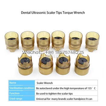 5pcs/veliko ultrazvočne zobne scaler nasvet ključ ključ moment zobozdravnik instrument zobozdravstvo izdelek zob zob zob orodja