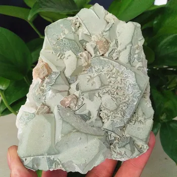 Lepe vzorce kristalov in Fisheye mineralnih osebek z naravno energijo zdravilnih kamnov