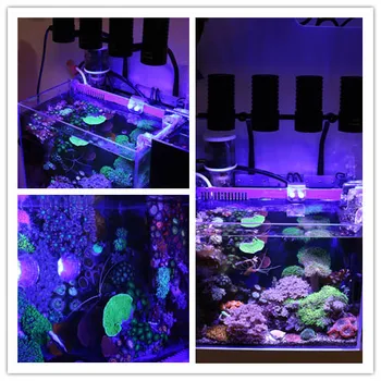 Morski LED luči, SPS korale LPS rastejo mini nano akvarij morski greben tank belo, modro, vijolično visi na bend fix
