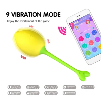 Vagina Jajca Vibrator APLIKACIJO Bluetooth Odraslih Izdelek USB Polnilne Silikona, Brezžični Daljinski upravljalnik Sex Igrače za Ženske Erotične Igrače