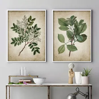 Zelena Rastlina Wall Art Natisne Retro Plakat Letnik Listi Platno Barvanje, Tiskanje Botanični Art Dekor Stenske Slike Doma Dekoracijo