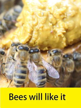500 g Bee cvetni prah, čebelji cvetni prah oljne repice krma čebel hranjenje čebelarstvo orodje čebelar oprema naravnih cvetni prah cvetni prah oljne repice