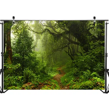 Ozadja za Fotografijo, Gozdno Zelena Džungle Drevesa, Trave Naravnih Fotografija Kulise Studio Poganjki
