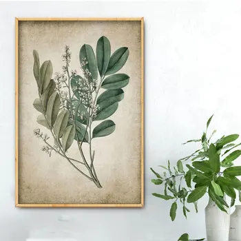 Zelena Rastlina Wall Art Natisne Retro Plakat Letnik Listi Platno Barvanje, Tiskanje Botanični Art Dekor Stenske Slike Doma Dekoracijo