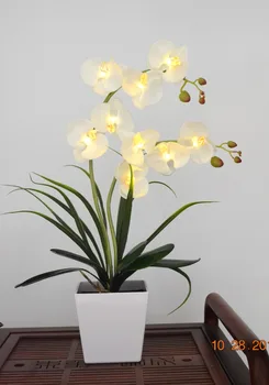 Brezplačna Dostava LED Cvetov Orhidej Cvet Svetlobe, 9 Kos Toplo Bela LED /Osvetljeno Cvetje z Baterijo pot LED Orhideja je Cvet Bonsaj