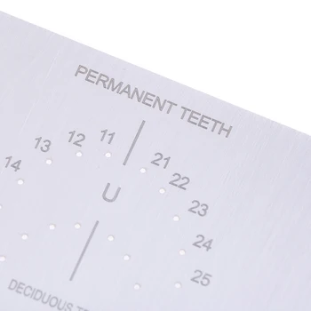 Iz Nerjavečega Jekla Punch Luknjo Odbor Zobozdravstveno Nego Ustne Votline Beljenje Zob Položaja Predlogo Z Lestvico Kliniki Lab Instrument Orodje