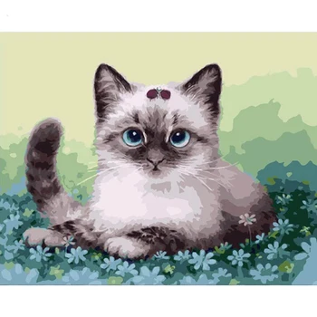 Luštna Mačka Živali DIY Digitalno Barvanje Z Številkami Moderne Stenske Umetnosti Platno Slikarstvo Edinstveno Darilo Doma Dekor 40x50cm