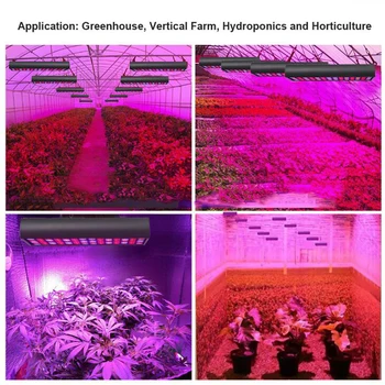 NOVI 300W full LED grow light dvojno čip dvojno stikalo za rast rastlin, svetilke za notranjo cvet šotor sadika ffs lučka