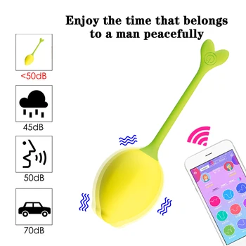 Vagina Jajca Vibrator APLIKACIJO Bluetooth Odraslih Izdelek USB Polnilne Silikona, Brezžični Daljinski upravljalnik Sex Igrače za Ženske Erotične Igrače