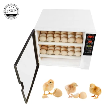 2019 Inkubator 60 Kokošja jajca mini jajce inkubator popolnoma avtomatsko 220V &Dvojno Napetostjo 12V