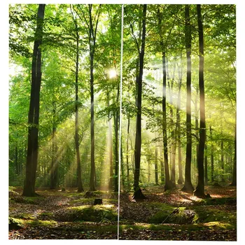 Bambusov Gozd Natisnjeni Blackout Zavese Za Spalnico Okna, Zavese Za dnevno Sobo 85% Senčenje 3D Višina 200 cm Širina 170 cm