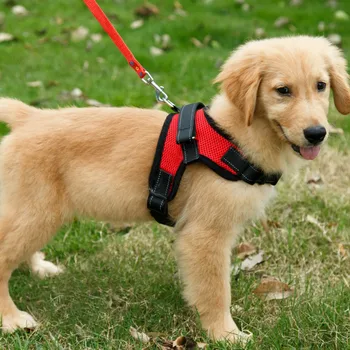 Hišni Pes Zagotavlja Hišne Pse Pas Ovratnice Visoke Kakovosti Telovnik Pes Jermenarski Izdelki Za Hišne Živali Ljubljenčka Psa Dodatki