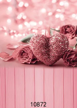Rožnate Vrtnice Srca 3D Fotografija Ozadje za Foto Studio Valentines Foto Okolij Vinil Kulise Baby Tuš Photophone