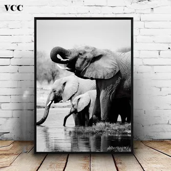 Črno Bel Plakatov In Fotografij Nordijska Platno Wall Art Tisk Afriki Živali Slon Slikarstvo Dekorativne Slike Doma Dekoracijo