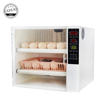 2019 Inkubator 60 Kokošja jajca mini jajce inkubator popolnoma avtomatsko 220V &Dvojno Napetostjo 12V