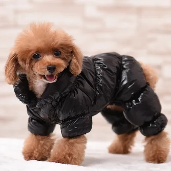 Pes Navzdol Plašč francoski Buldog Obleke Za Majhne Pse Bombaž, Oblazinjeni Toplo Obleko Kuža Zimsko Jakno Jumpsuit Kostum za Chihuahua