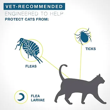 Seresto Bayer Novih hišnih mačk ovratnik proti Bolh, Označite Ovratnik psi Do 8 Meseca Bolh, Označite Ovratnik Anti-komar in insektov repelenti