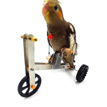 Smešno Parrot Mini Kovinsko Kolo Igrača Za Ptice Usposabljanje Plaything Parakeet Cockatiel Conure Izobraževalne Interaktivne Rešitve
